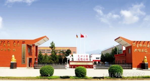 宁波品牌百优案例 ‖ 宁波如意：实施科学创新战略，建树百年西林品牌(图1)